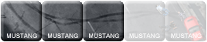 Illustration for article titled Threat Level: Mustang